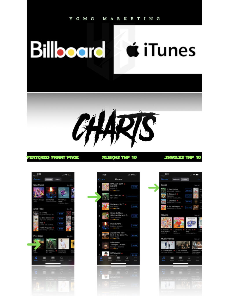 YGMG MARKETING CAMPAIGNS.1